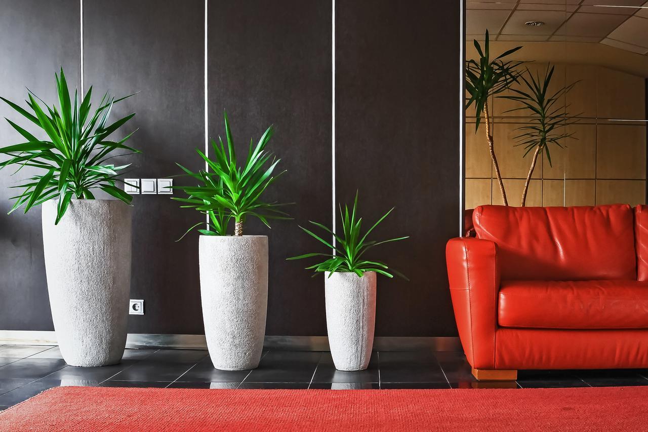 Hotel Palma Możejki Zewnętrze zdjęcie